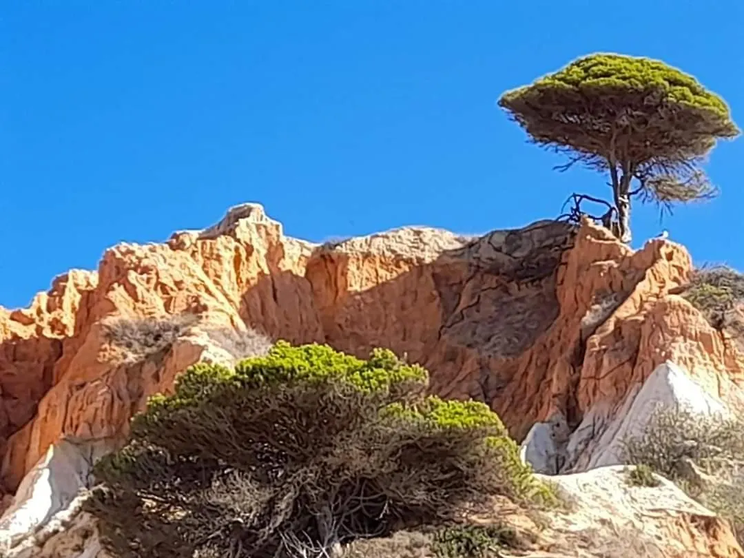 Prázdninový dům Casa Linda Da Praia Do Alfamar Albufeira